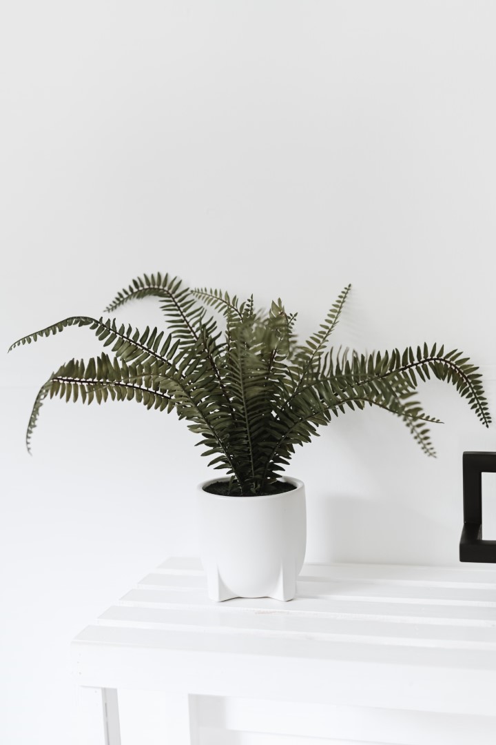 Sakpas Bruidjie freebies